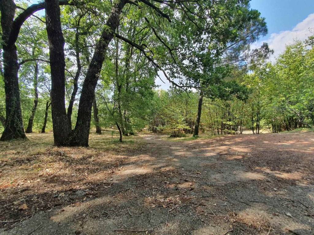 Villa a Viterbo - Foto 2