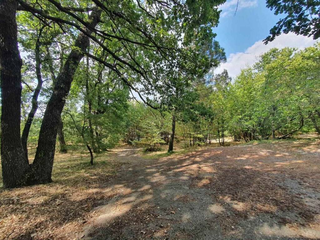 Villa a Viterbo - Foto 3