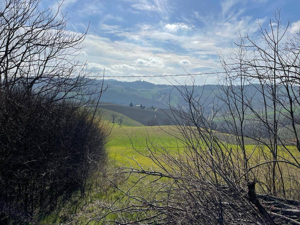 Rustico / casale a Castignano in contrada rufiano, 111 - Foto 4