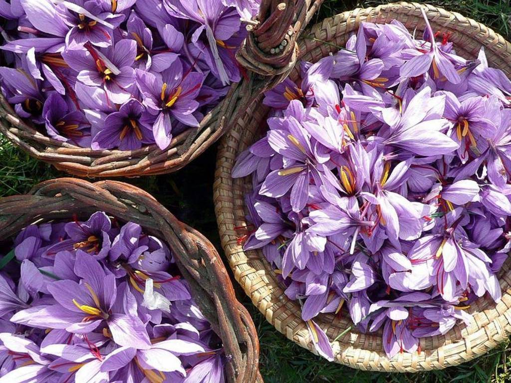 Rustico / casale a Montegabbione in via Faiolo - Foto 3