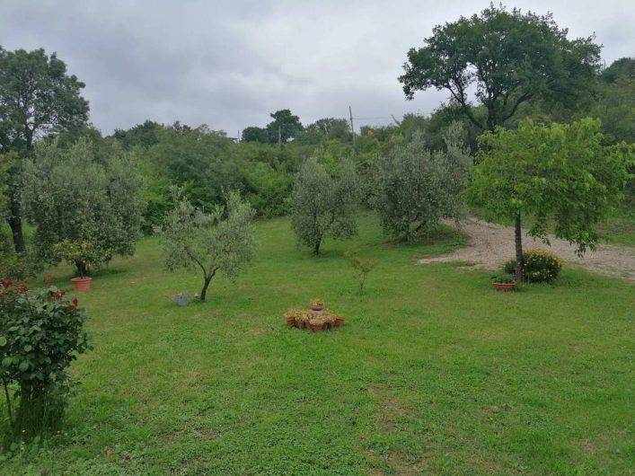 Immobile a Semproniano - Foto 4