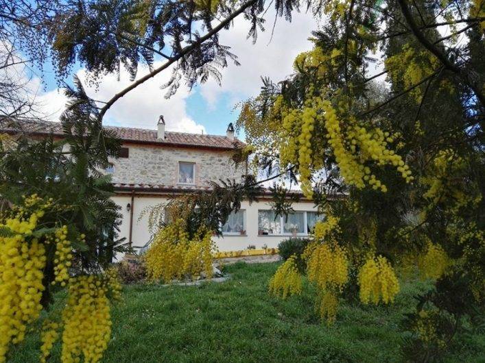 Immobile a Scansano - Foto 2