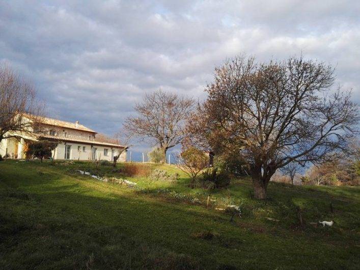 Immobile a Scansano - Foto 3