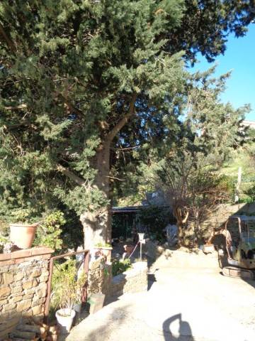 Villa a Perdifumo in Contrada Coste - Foto 2