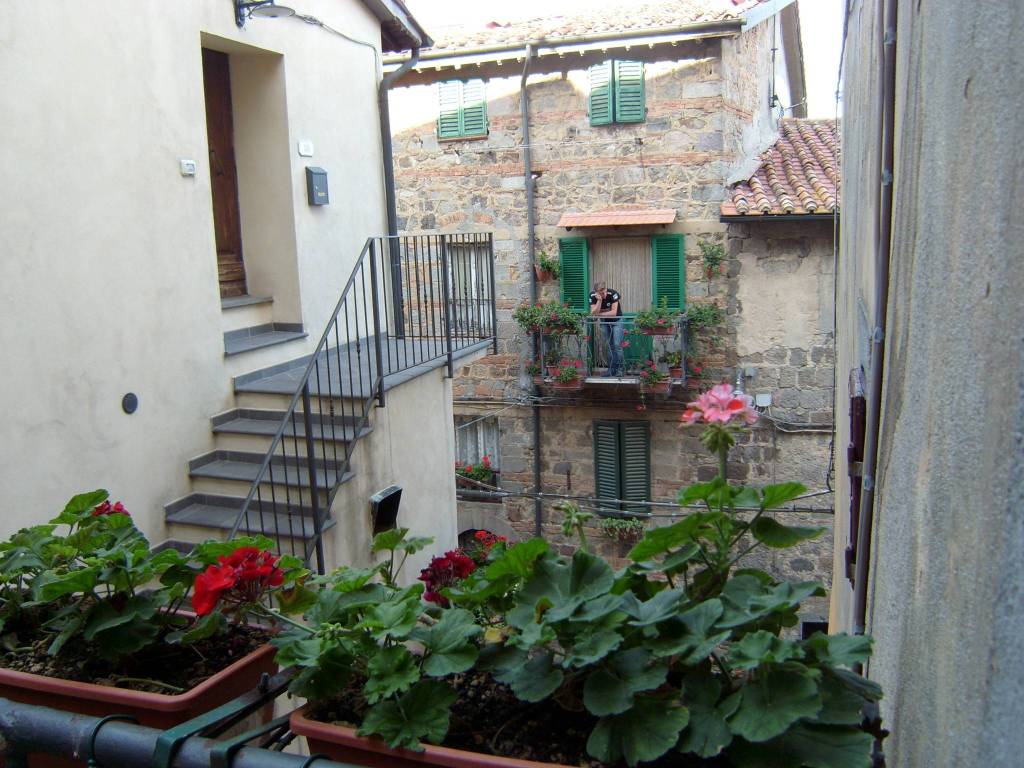 Appartamento a Piancastagnaio in Via Gaspero Barzellotti - Foto 2