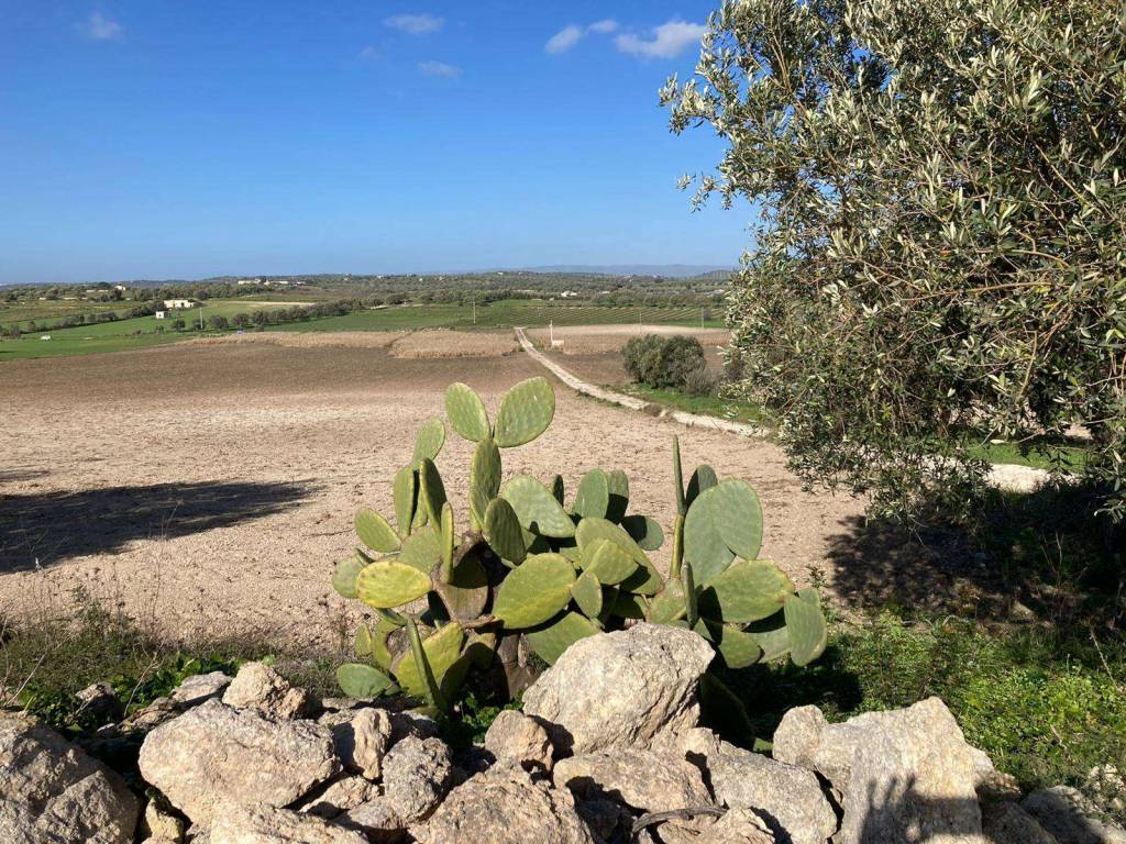 Terreno a Noto - Foto 2