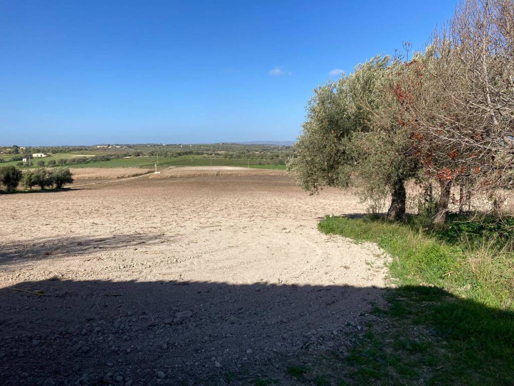 Terreno a Noto - Foto 3