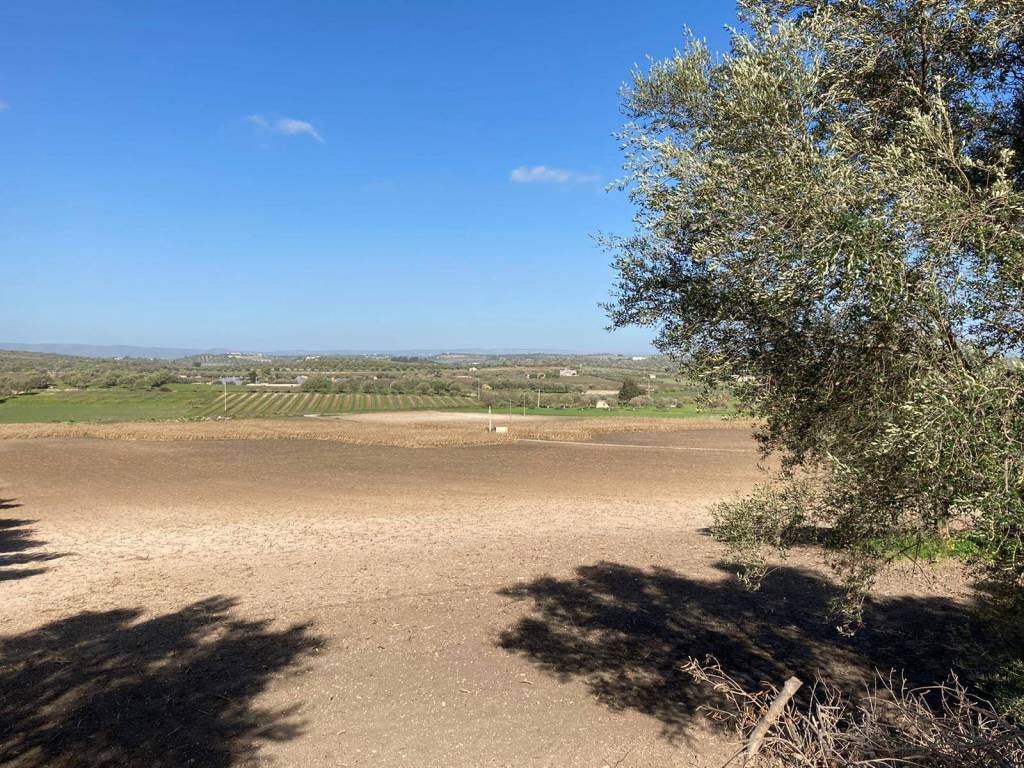 Terreno a Noto - Foto 4