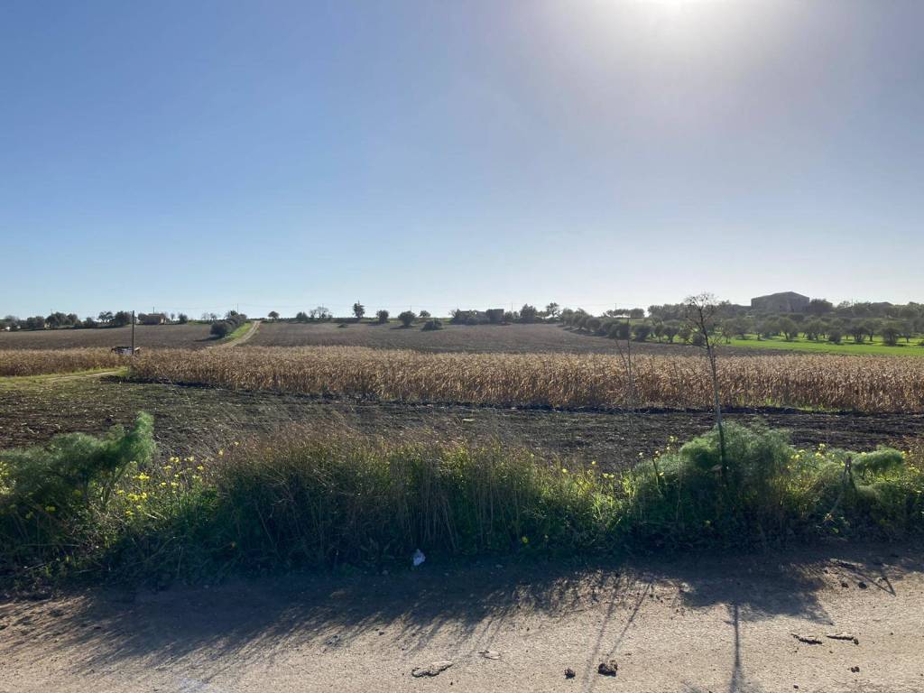 Terreno a Noto - Foto 5