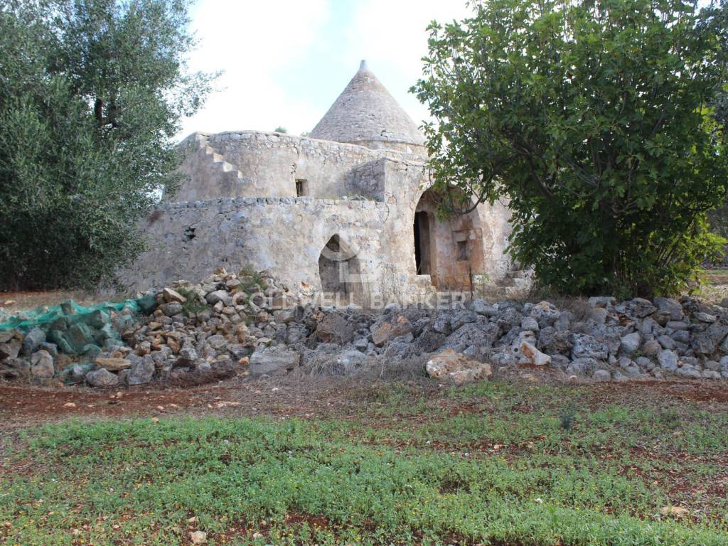Rustico / casale a Ostuni in Contrada Molillo - Foto 2