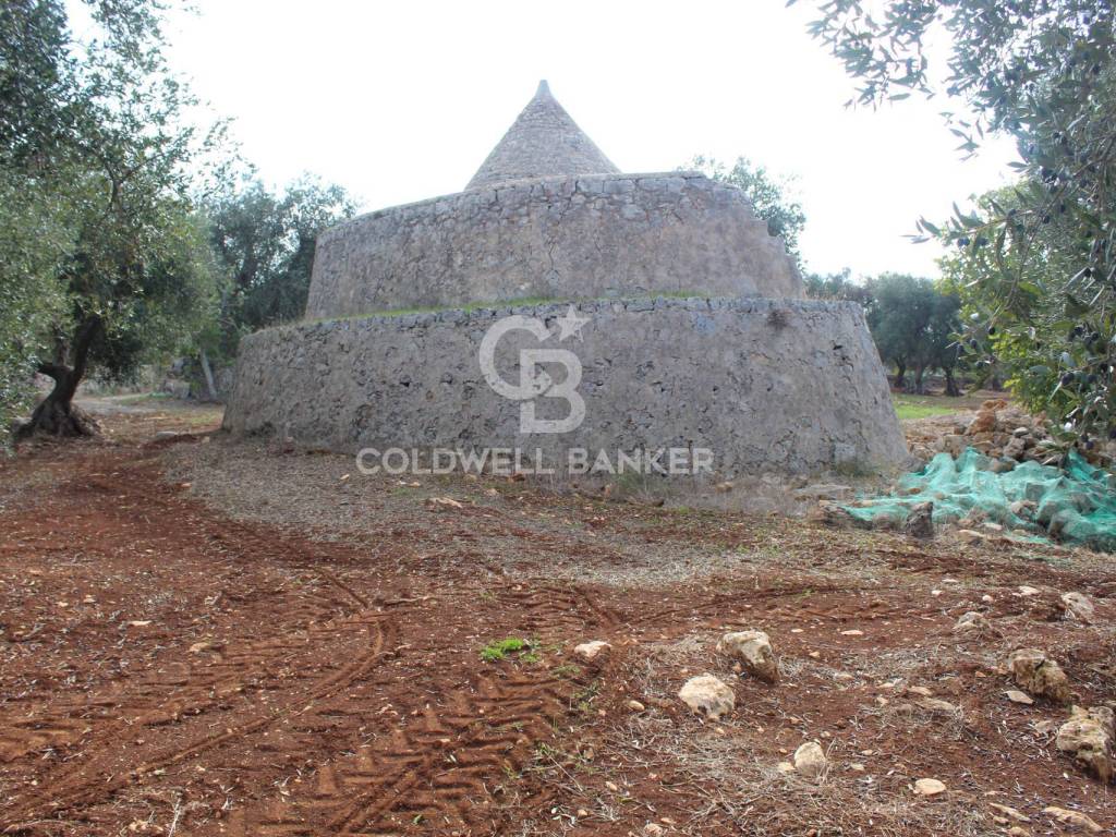 Rustico / casale a Ostuni in Contrada Molillo - Foto 3