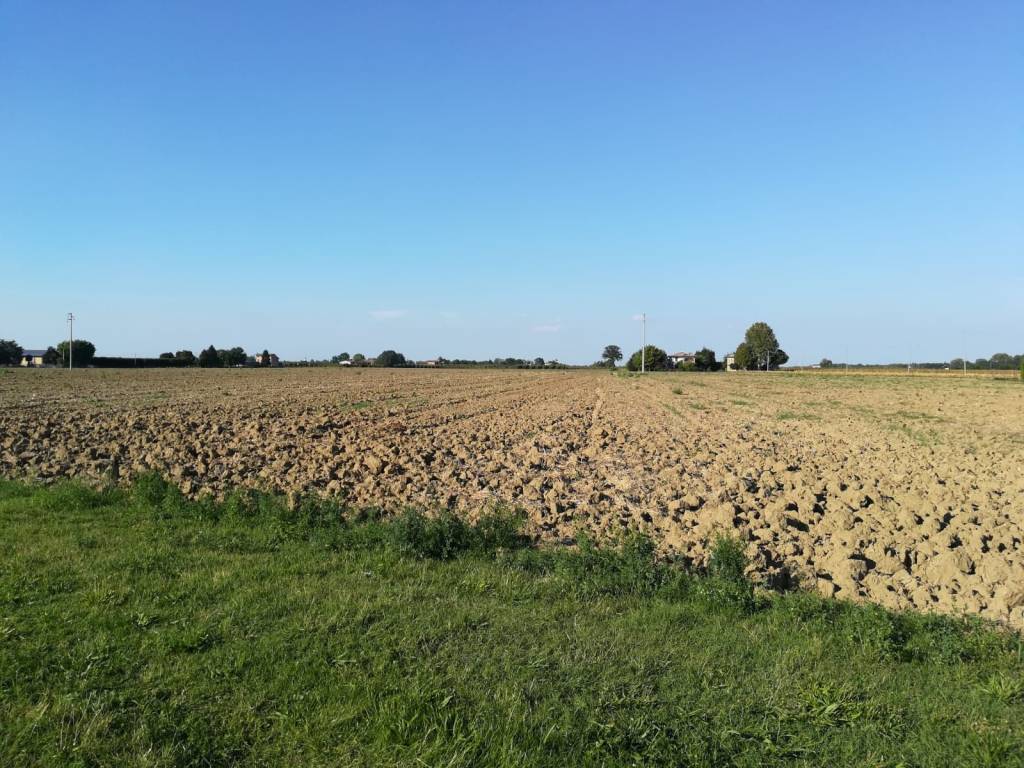 Terreno a Valsamoggia - Foto 2