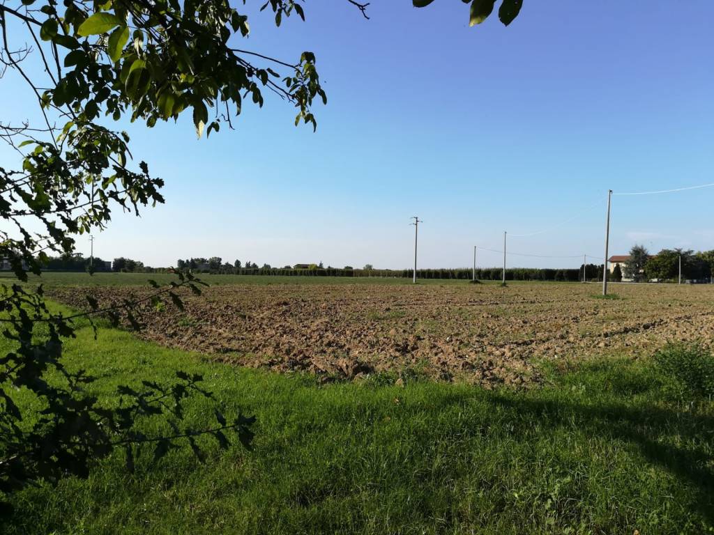 Terreno a Valsamoggia - Foto 3