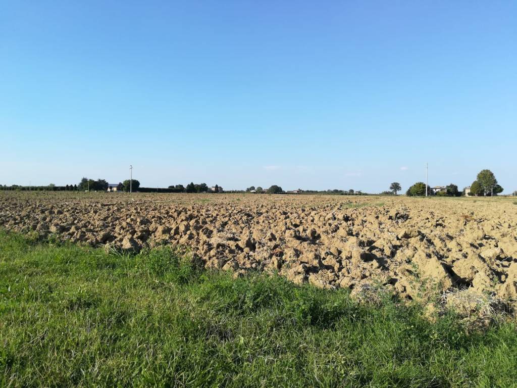 Terreno a Valsamoggia - Foto 5