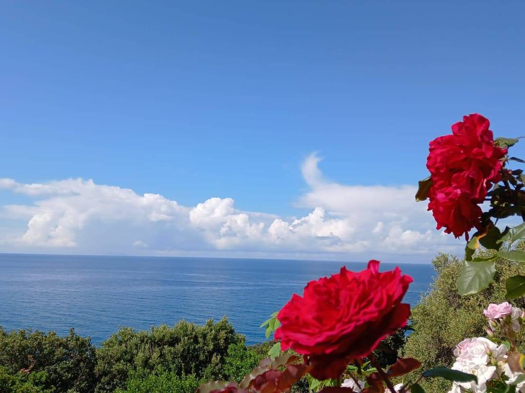 Villa a San felice circeo - Foto 3