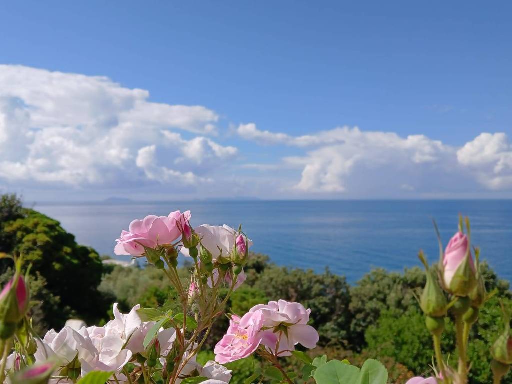 Villa a San felice circeo - Foto 4