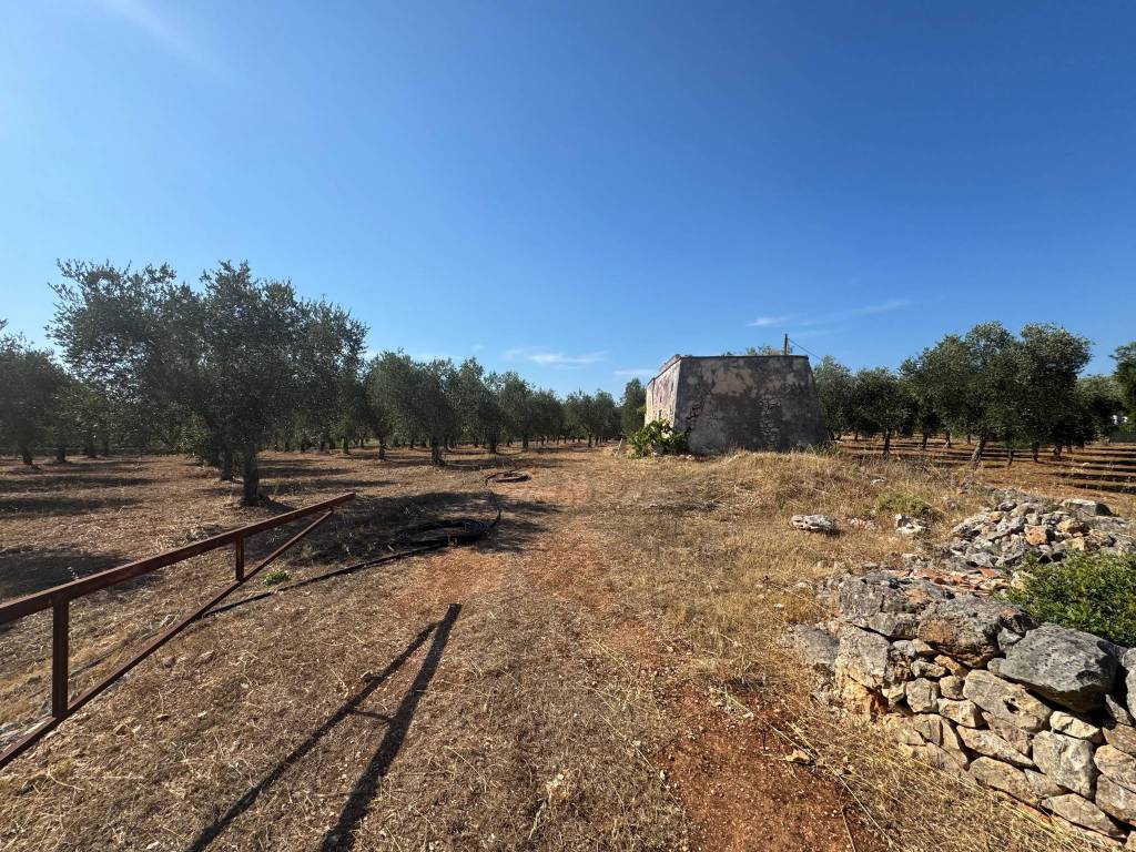 Villa a Ostuni in Contrada Grottone - Foto 5