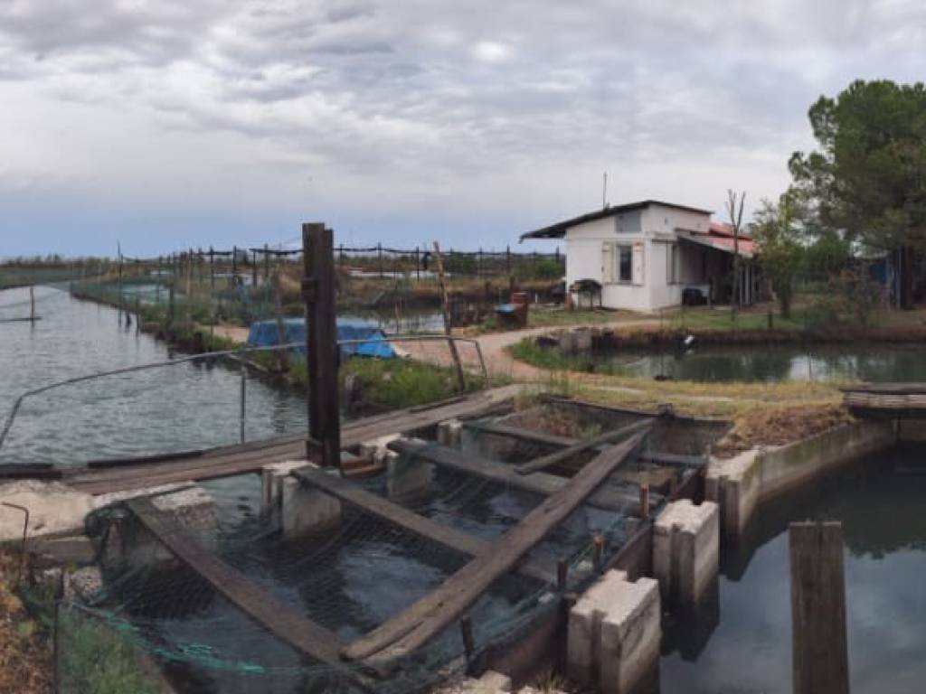 Rustico / casale a Grado in Località Valle Artalina - Foto 3