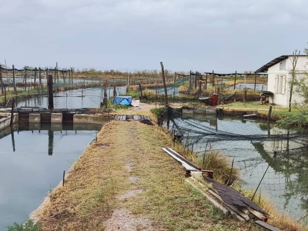 Rustico / casale a Grado in Località Valle Artalina - Foto 4