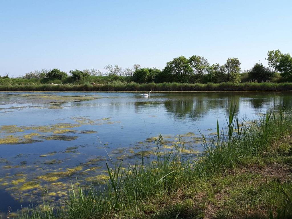 Rustico / casale a Grado in Località Valle Artalina - Foto 5