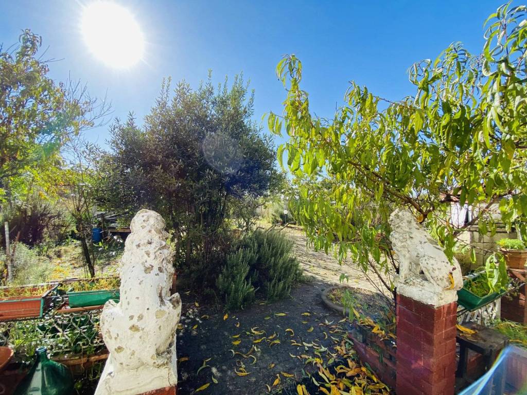 Casa indipendente a Alluvioni piovera - Foto 3