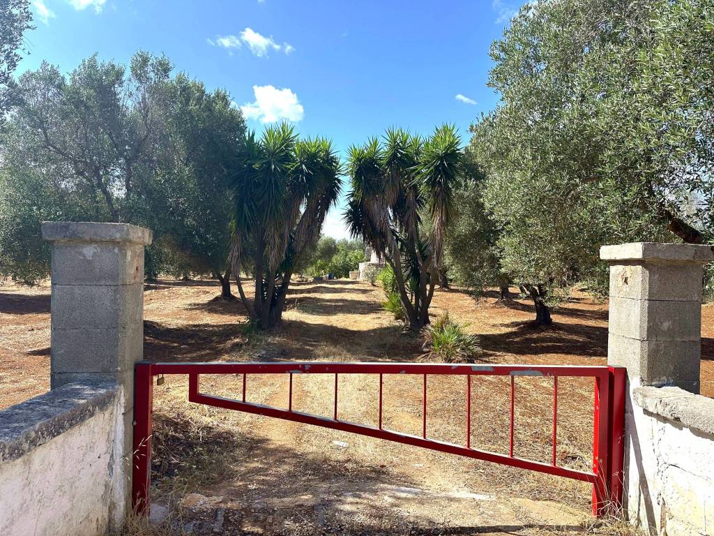 Rustico / casale a Carovigno in SS16 - Foto 4