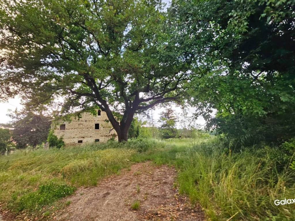 Rustico / casale a Treia - Foto 3