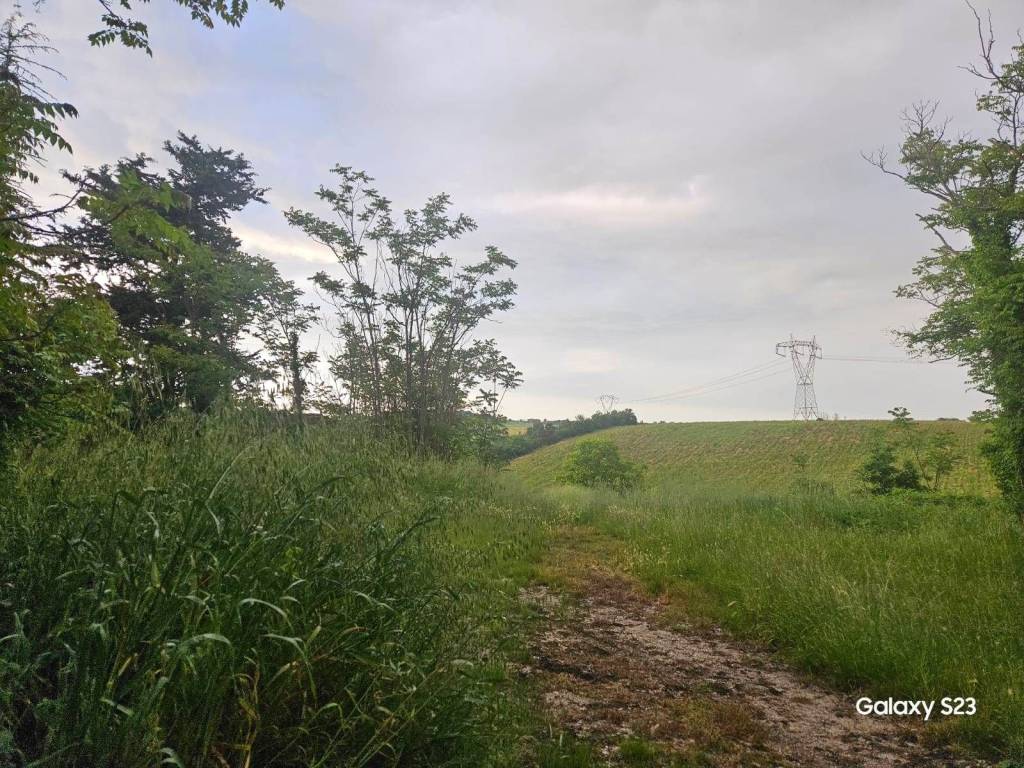 Rustico / casale a Treia - Foto 4