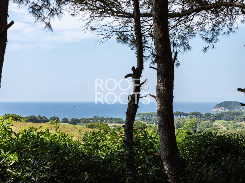Villa a Piombino in Località Sant'Albinia, 13 - Foto 3