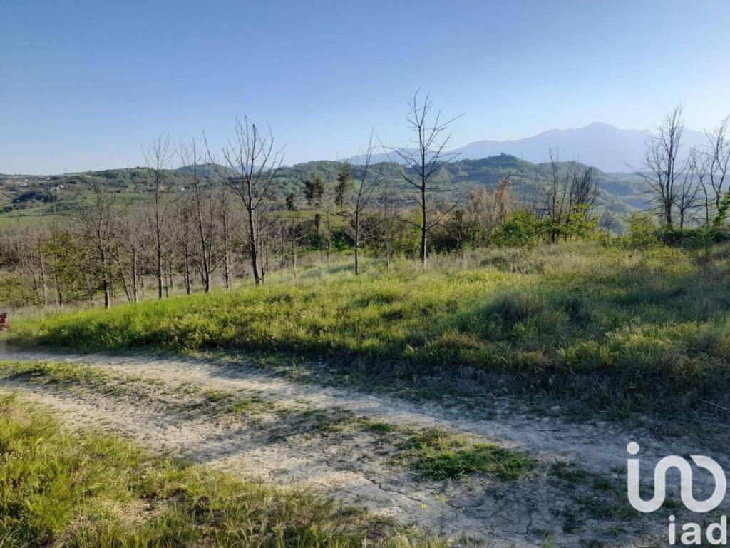 Terreno a Montefino in Frazione contrada case sparse - Foto 3