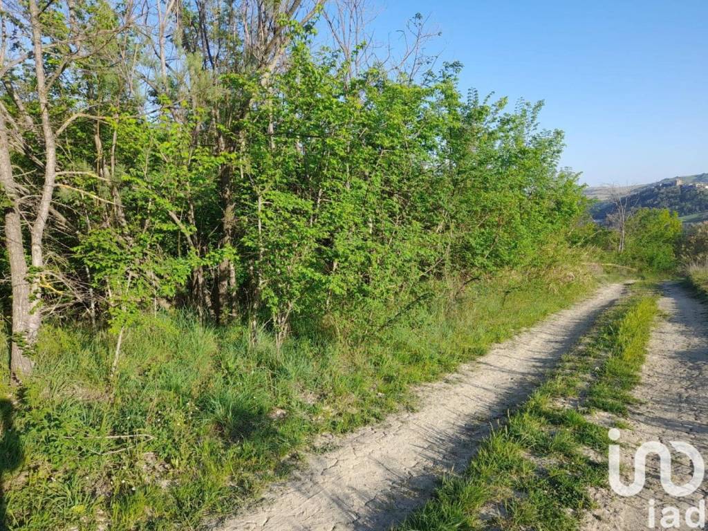 Terreno a Montefino in Frazione contrada case sparse - Foto 4