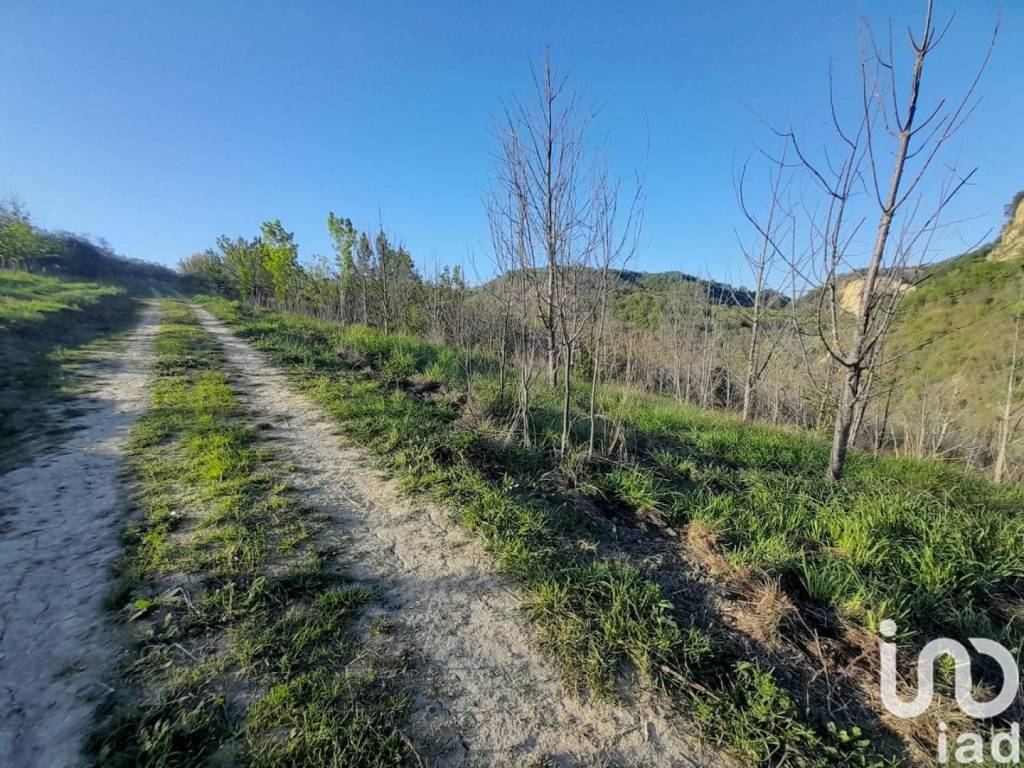 Terreno a Montefino in Frazione contrada case sparse - Foto 5