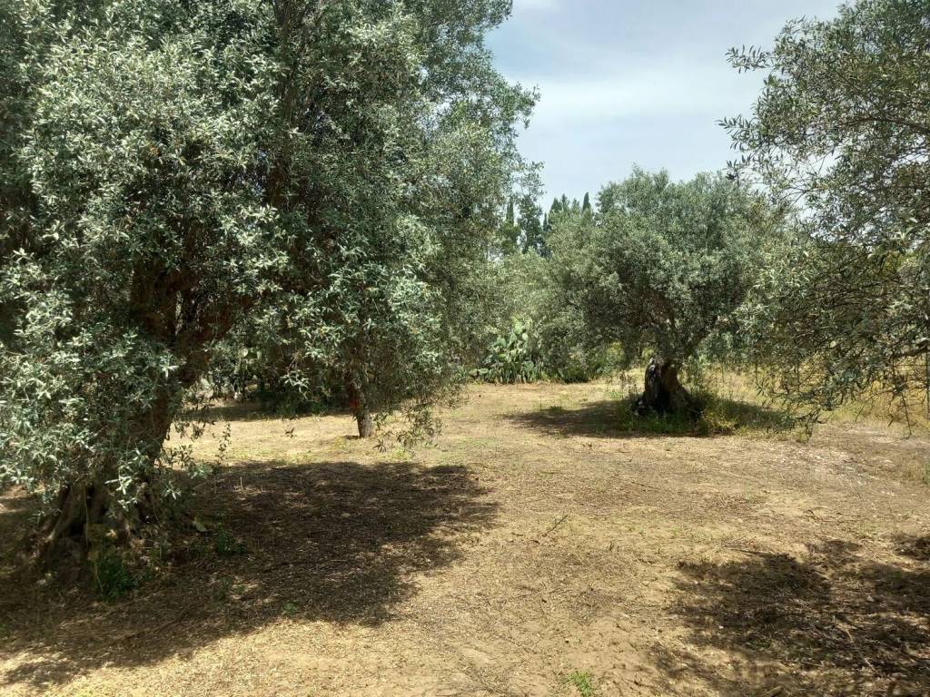 Rustico / casale a Caltanissetta in Contrada Cammarella - Foto 5
