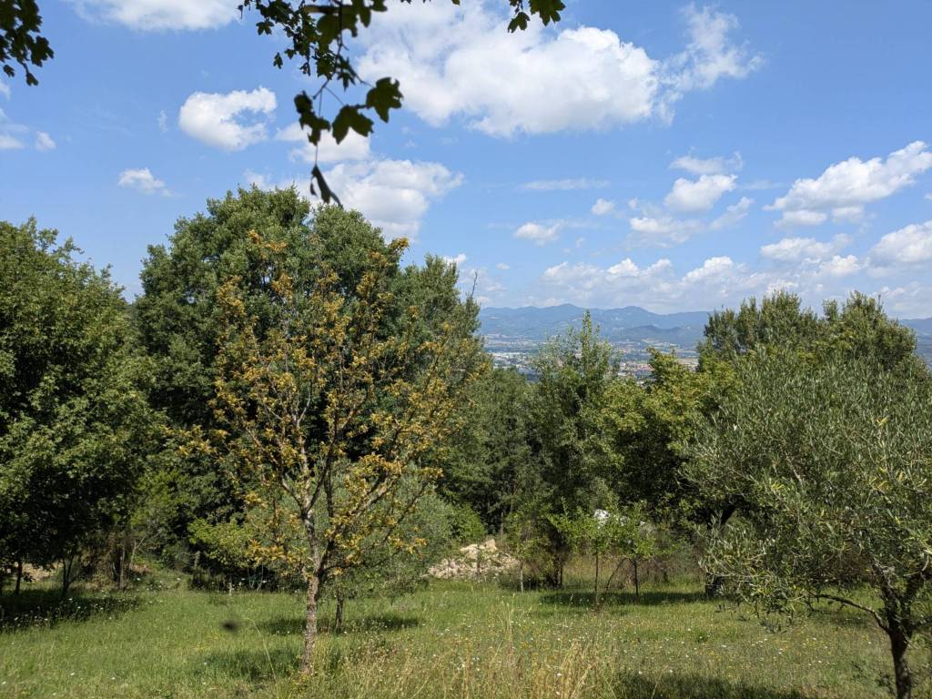 Terreno a Città di castello - Foto 2