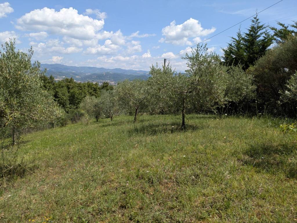 Terreno a Città di castello - Foto 3