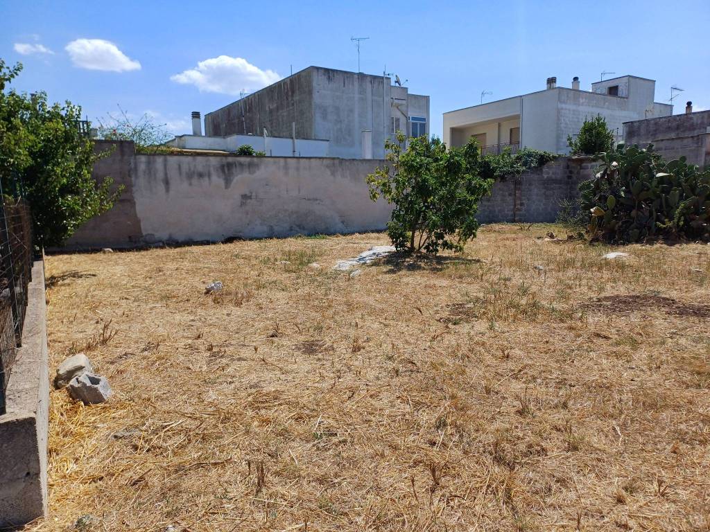 Terreno a San donato di lecce - Foto 2