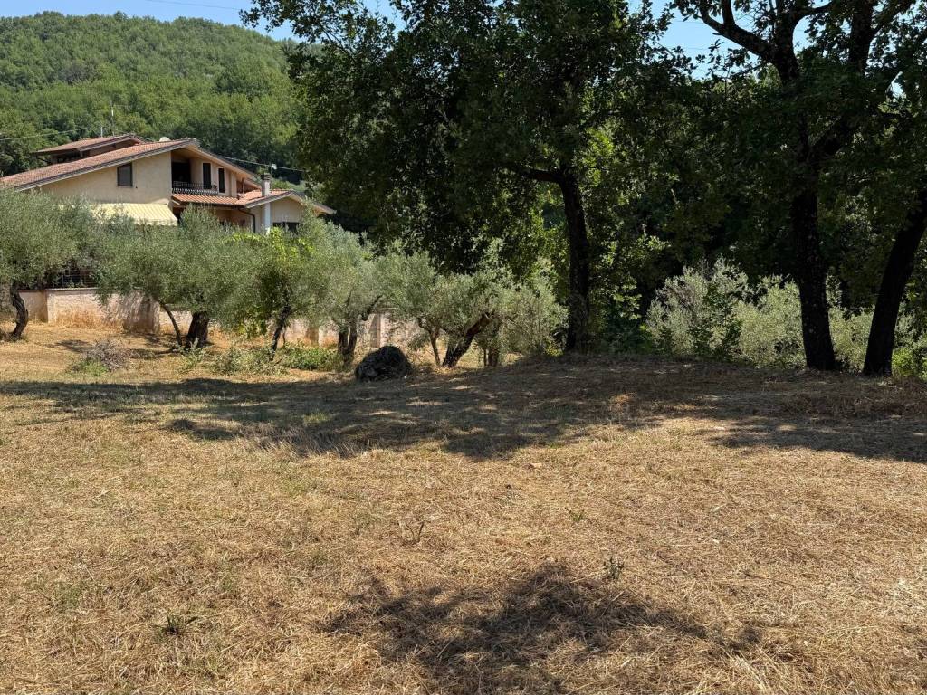 Rustico / casale a Fontana liri in Chiaia Romana - Foto 3