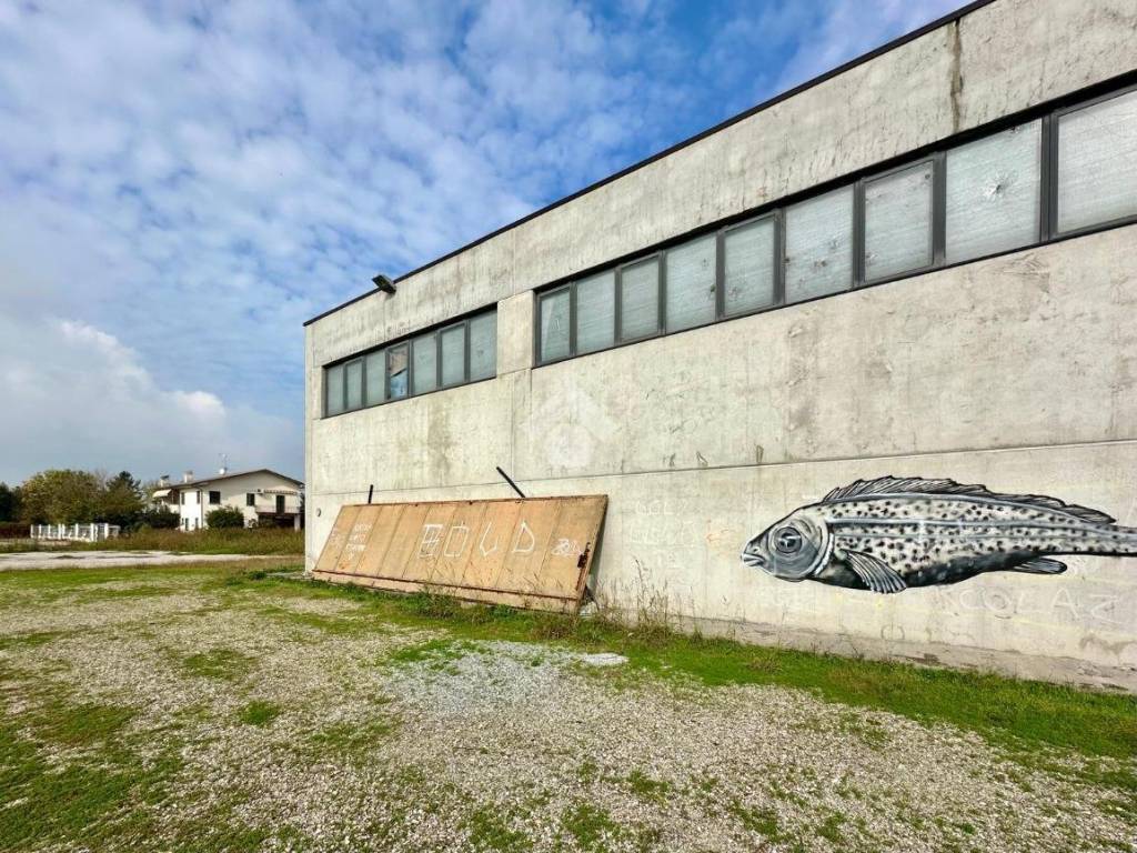 Immobile a Nogarole rocca in Via Stradel Basso, 1 - Foto 3