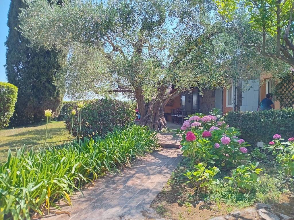 Villa a Monte argentario in Località Partemi - Foto 4