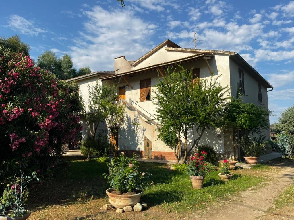 Rustico / casale a Magliano in toscana - Foto 3