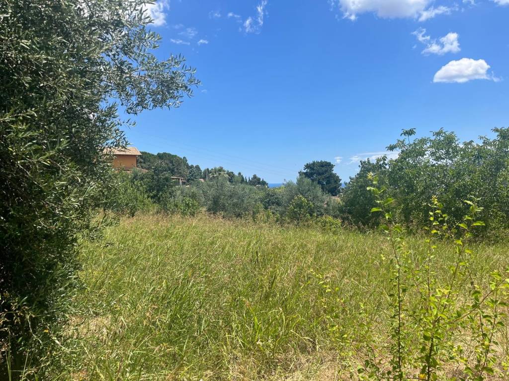 Terreno a Monreale in Contrada Cannizzaro - Foto 2