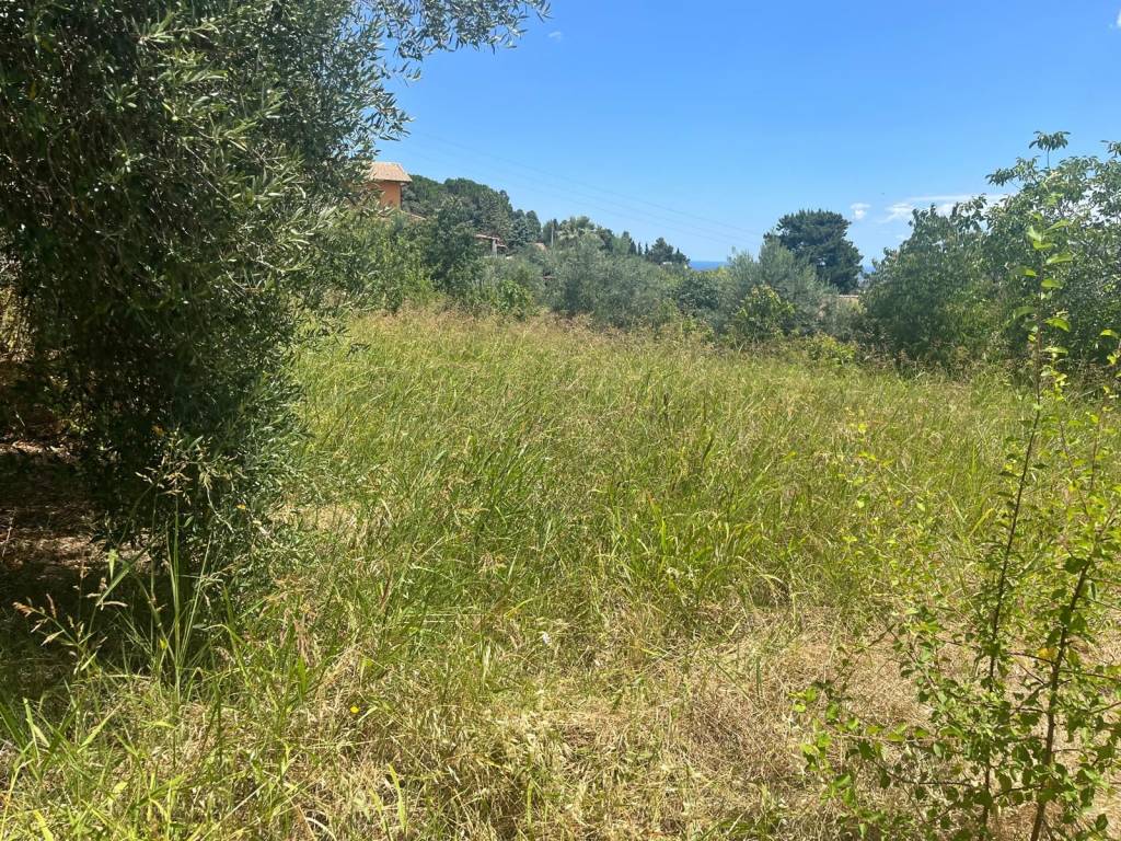 Terreno a Monreale in Contrada Cannizzaro - Foto 3