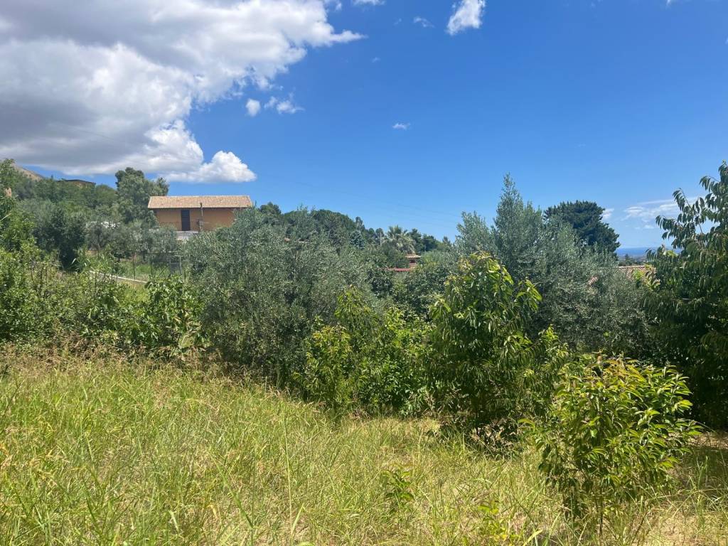 Terreno a Monreale in Contrada Cannizzaro - Foto 4