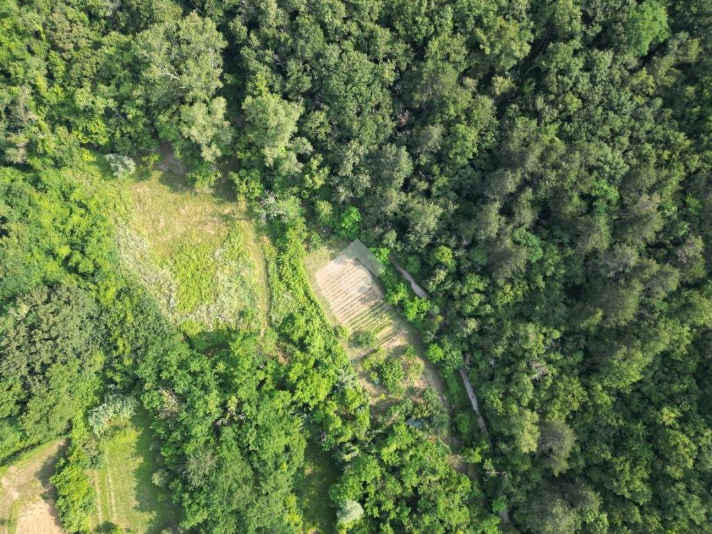 Terreno a Muggia in Località Vignano - Foto 2