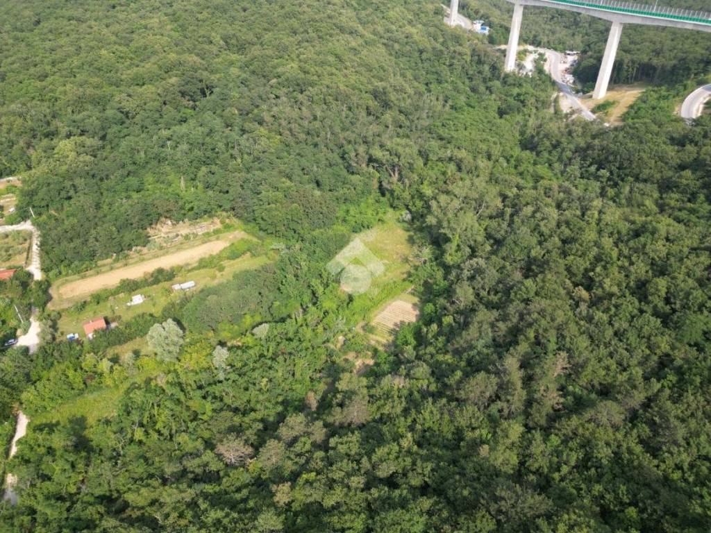 Terreno a Muggia in Località Vignano - Foto 5
