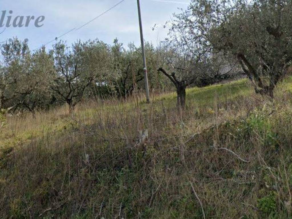 Terreno a Monteprandone in Via Colle Sant'Angelo - Foto 3