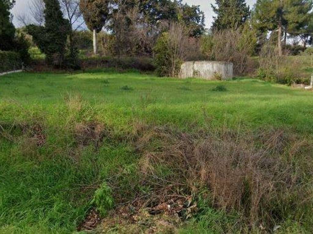 Terreno a San benedetto del tronto in c.da Santa Croce - Foto 2
