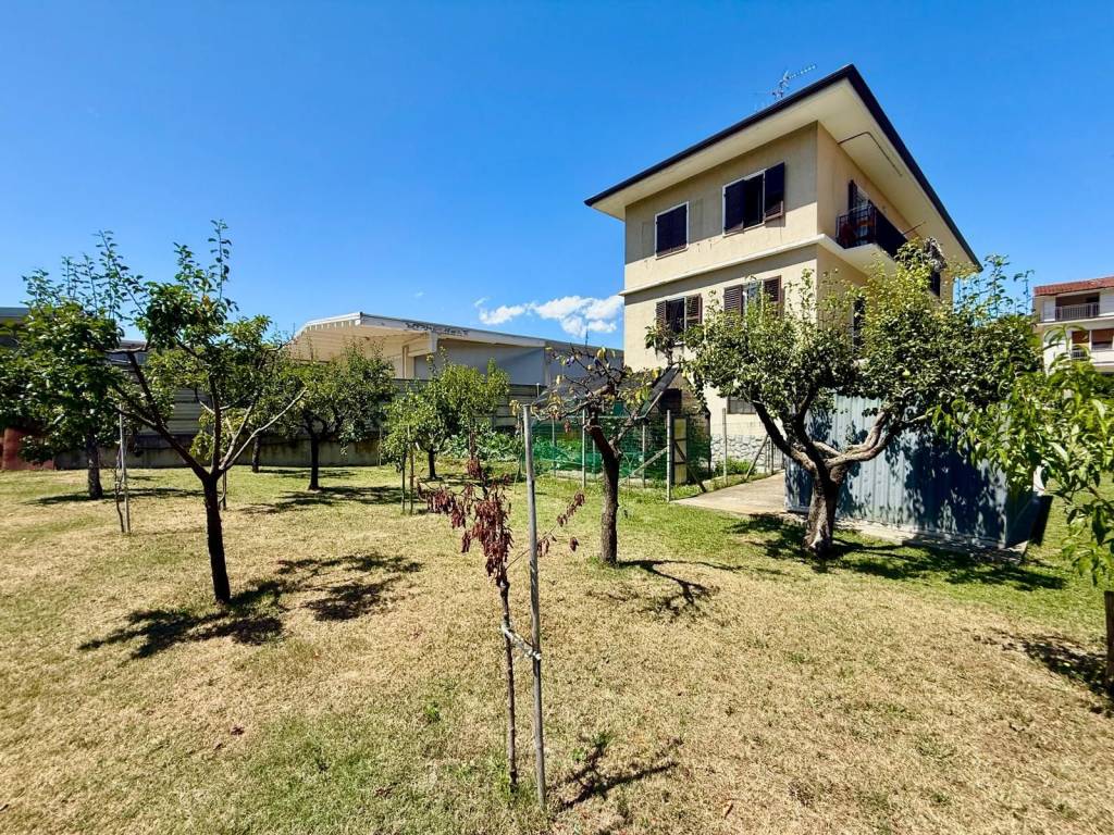 Casa indipendente a Dogliani - Foto 4