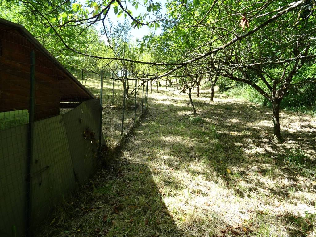 Terreno a Fabriano in fr, ne Melano - Foto 2
