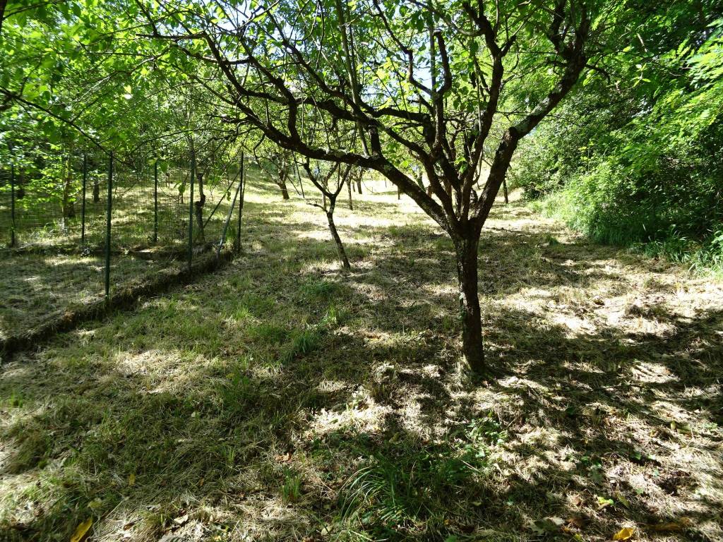 Terreno a Fabriano in fr, ne Melano - Foto 3
